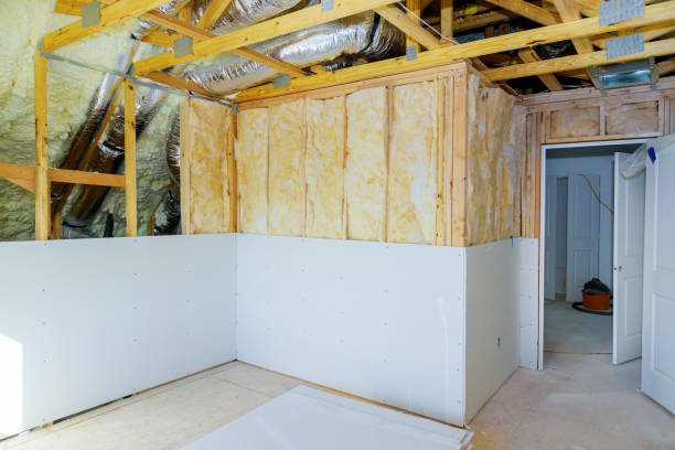 Best Home Insulation Services  in Park Hills, MO
