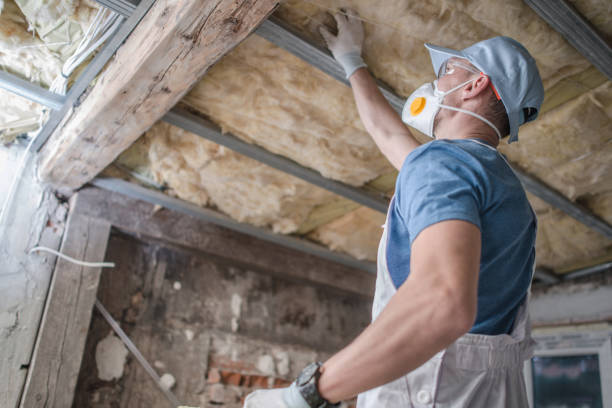 Best Residential Insulation Services  in Park Hills, MO
