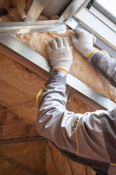 Best Wall Insulation Contractor  in Park Hills, MO