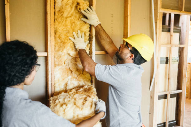 Best Home Insulation Services  in Park Hills, MO