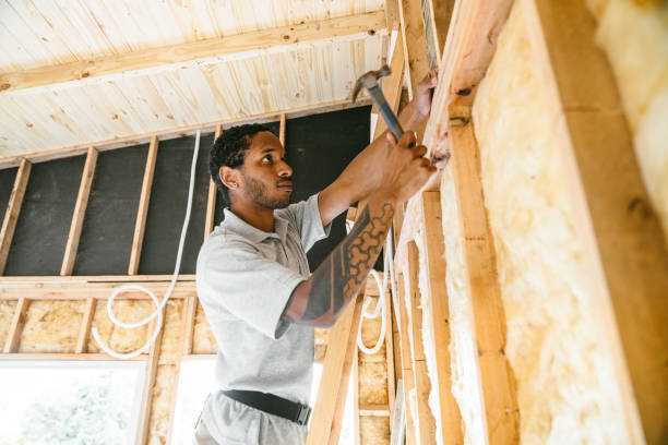 Best Best Insulation Companies  in Park Hills, MO