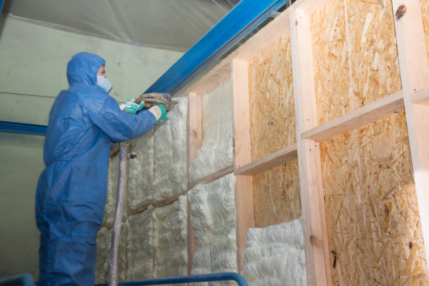 Best Spray Foam Insulation  in Park Hills, MO