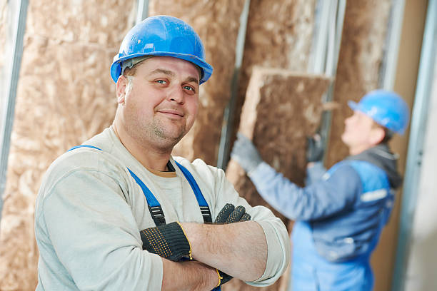 Best Insulation Repair Services  in Park Hills, MO