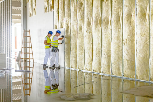 Best Wall Insulation Contractor  in Park Hills, MO